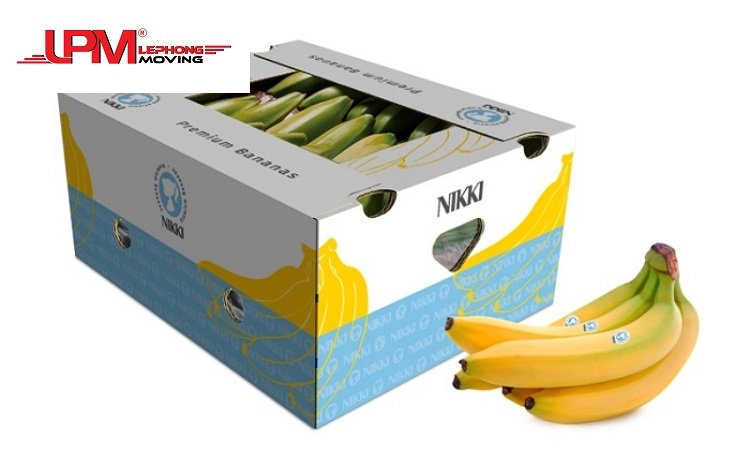 Perforated carton for bananas