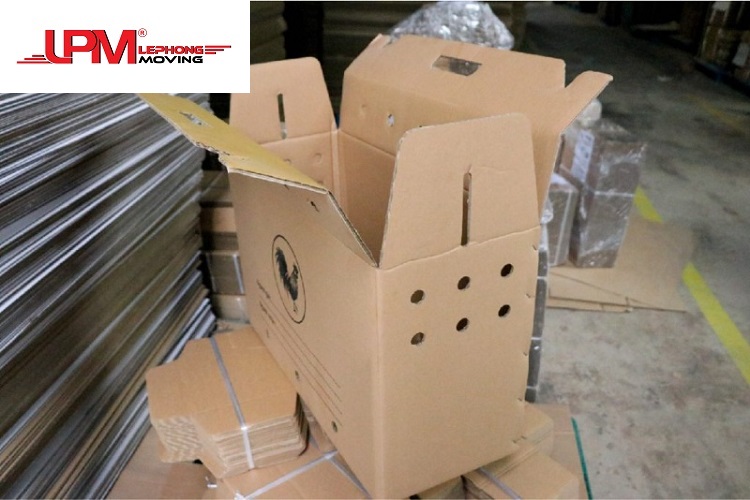 Perforated carton for chicken