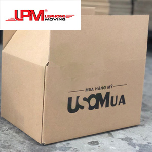 カートンUSAはアメリカの商品LPM3を購入します