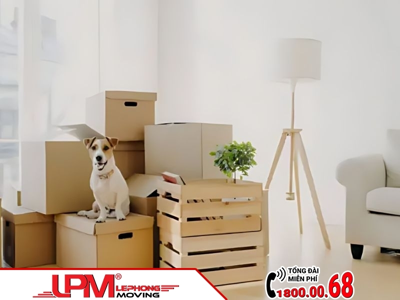 Đóng gói đồ gia dụng đúng cách giúp bảo vệ tài sản của bạn