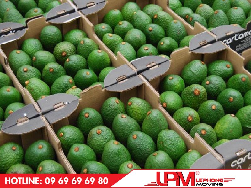 cách đóng gói trái cây bằng phương pháp bảo quản lạnh