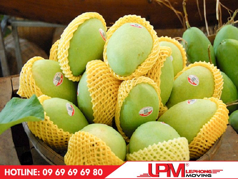 cách đóng gói trái cây bằng bọc giấy chuyên dụng