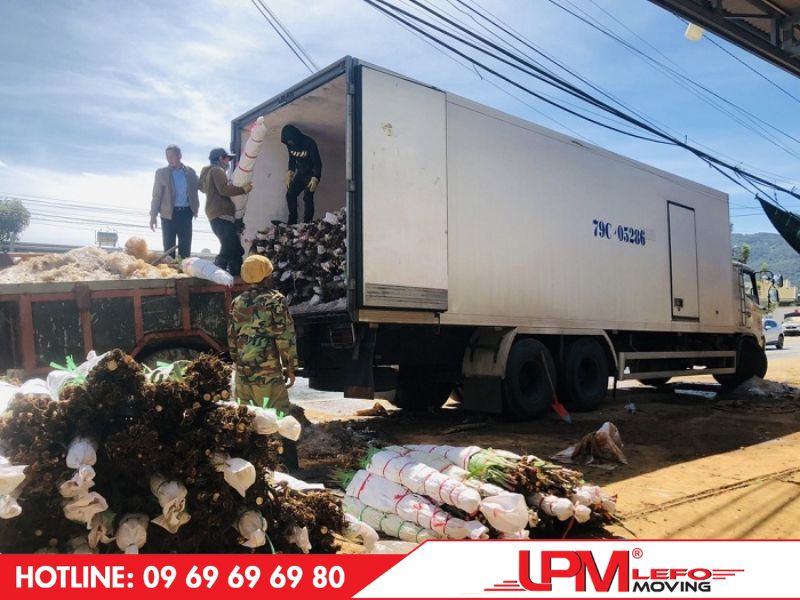 Các mặt hàng vận chuyển bằng xe tải thùng bảo ôn