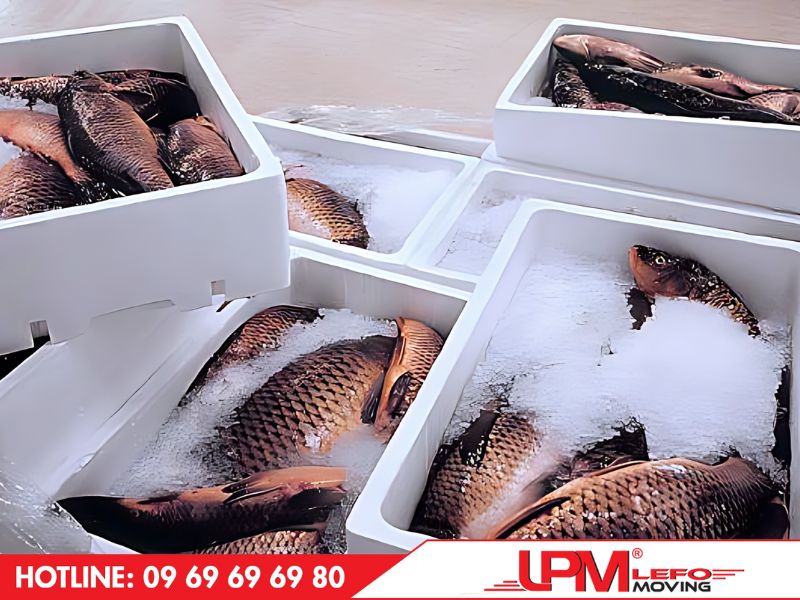 Cách đóng gói hàng tươi sống