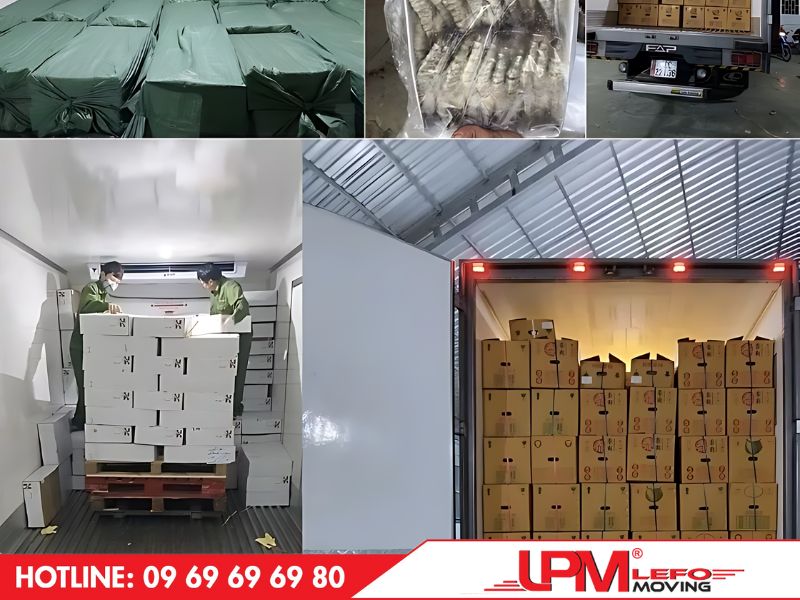Cách sắp xếp hàng đông lạnh