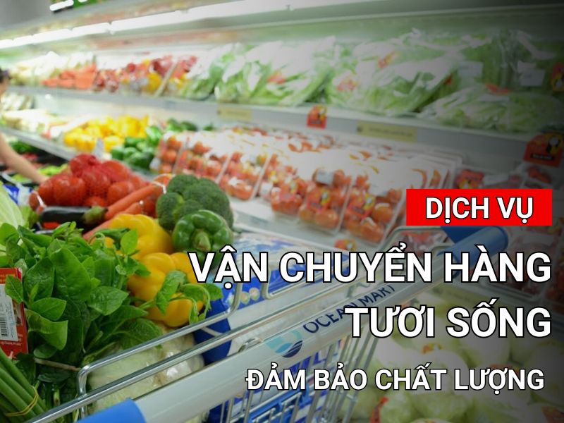 Dịch vụ vận chuyển hàng tươi sống