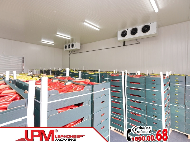 Quy trình chuyển kho lạnh tại LephongMoving